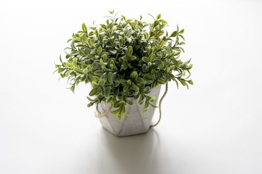 A high angle shot of a plant pot on a white surface