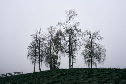 A foggy morning of rural Toten, Norway