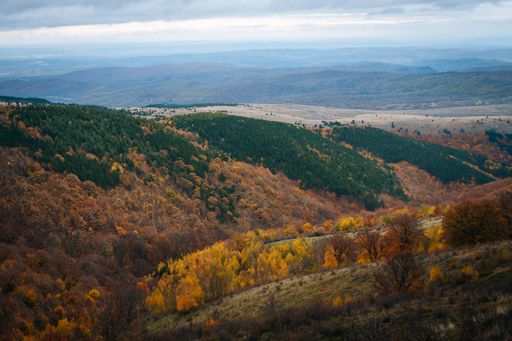 A beautiful landscape of big hills and mountains covered in dense forests on a sunny autumn day