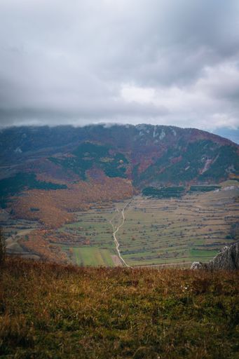 A vertical shot of the big mountains covered in colorful forests under the cloudy gloomy sky