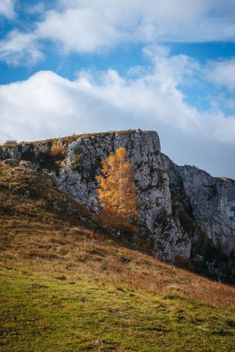 A vertical shot of a hill range covered with green grass on a sunny day