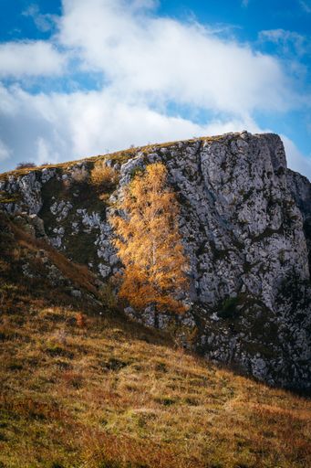 A vertical shot of a hill range covered with green grass on a cloudy day in Romania