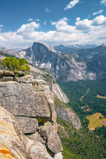 A shot of the picturesque nature of the Yosemite National Park