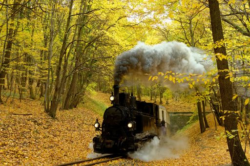 An old steam train in a beautiful golden forest in Budapest, Hungary
