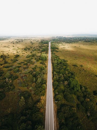 A vertical shot of a long road through the forests and fields