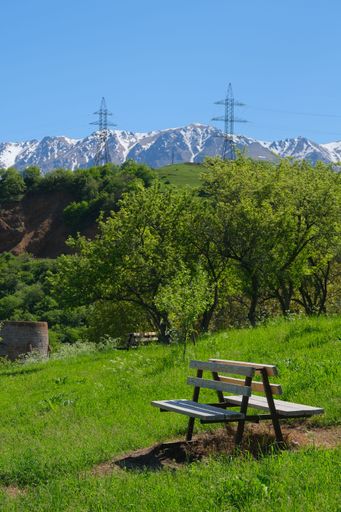 A vertical shot of two benches in the green yard against the trees and snowy mountains background in Armenia