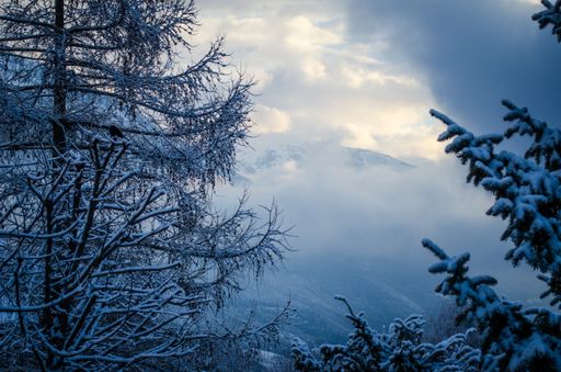 A low angle shot of the beautiful winter sky over a white forest covered in snow