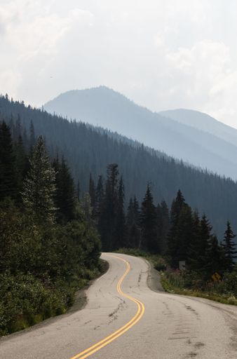 A vertical shot of a beautiful road near the forest