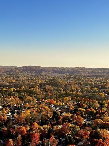An aerial view of forest surrounded by dense trees
