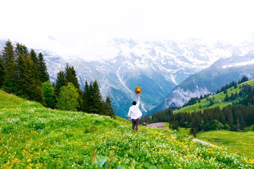 A beautiful shot of a man holding a hat in a green field against snowy mountains - freedom concept