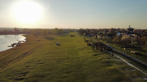 An aerial shot of field surrounded by a river on one side and a village where cows graze on the other