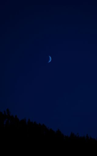 A vertical shot of moon in the crescent phase against the background of the night blue sky illuminating the forest