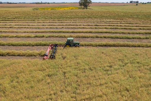A mesmerizing shot of a combine harvester working on an agricultural farm