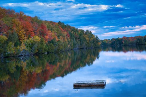 A river with autumn trees in the forest on the shore in the background