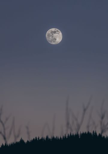 A vertical shot of the full moon in the night sky.