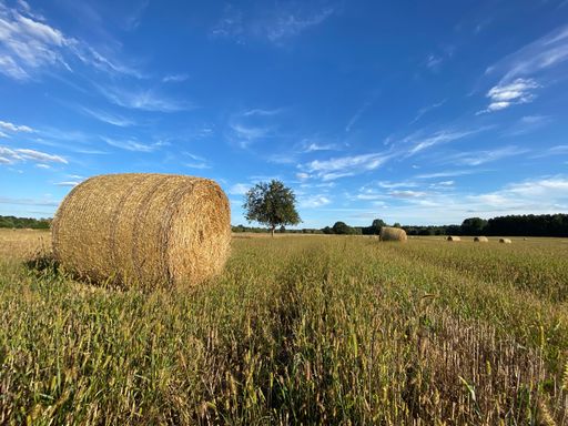 A beautiful scenery of hay rolls in a rural field under blue cloudy sky