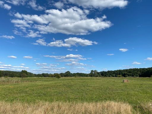 A beautiful scenery of grassland with blue cloudy sky