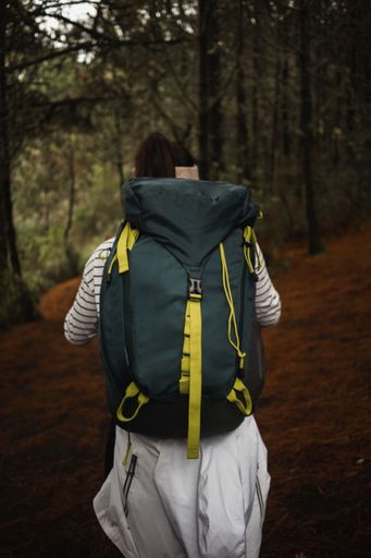 A back view of a young female hiker with a backpack walking in a forest