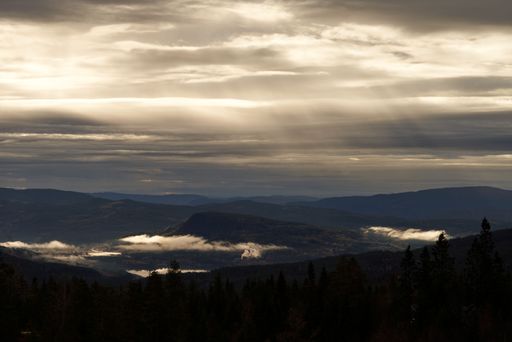 A beautiful landscape of a valley on a foggy day