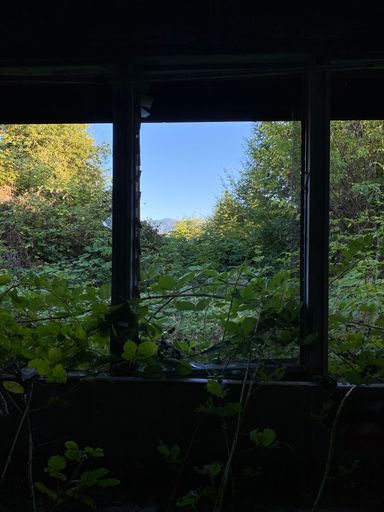 A vertical shot of an abandoned old house in a landscape in Washington