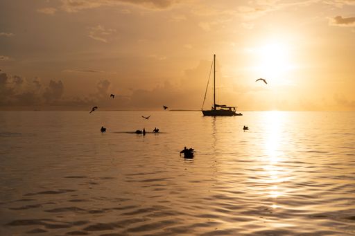A boat sailing on the sea over a background of a sunset at golden hour