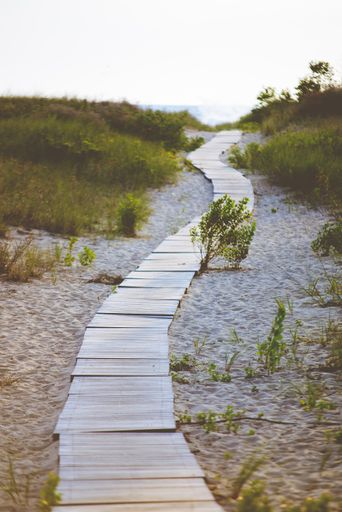 A vertical shot of a wooden pathway in the middle of a sandy shore