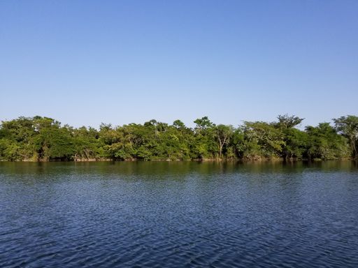 A beautiful lake with trees at the shore on a sunny day