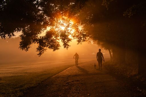 A road with people running and riding bikes in a park during sunset