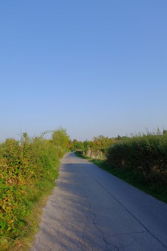A vertical shot of an empty asphalt road under the clear blue sky