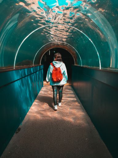 A vertical shot of a female walking in an underwater tunnel