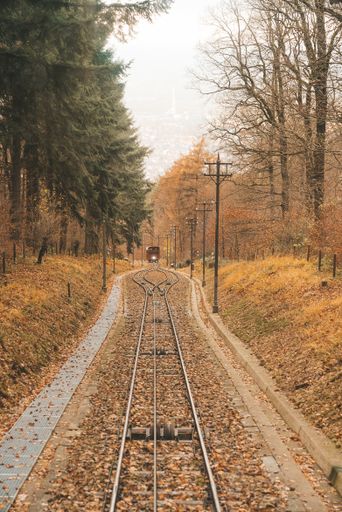 A vertical shot of a railway road surrounded by trees in Heidelberg, Germany