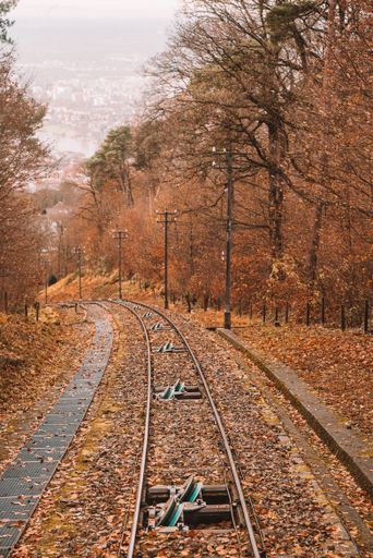 A vertical shot of a railway road surrounded by trees in Heidelberg, Germany