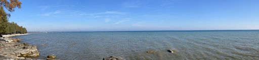 A panoramic view of a lake near the forest on a sunny day