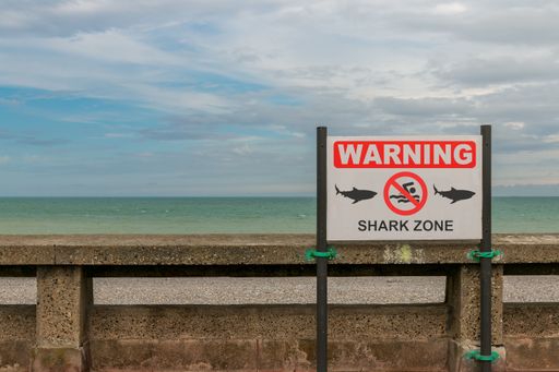 a shark warning information at the beach with a cloudy sky