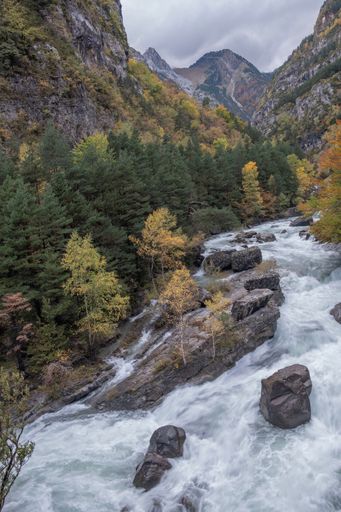 A vertical shot of a mountain stream surrounded by green forest in National Park Ordesa and Monte Perdido, Spain, and mountain peaks in the background