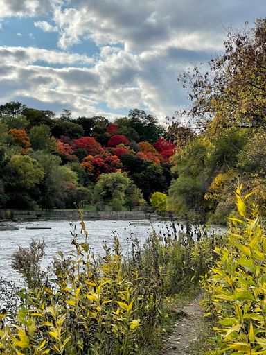 A vertical shot of a lake surrounded by the trees that gave in to autumn colors