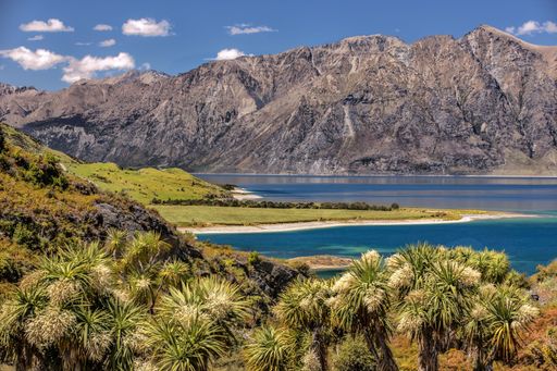 A scenic view of lake Hawea surrounded by mountains and greenery in Wanaka, New Zealand