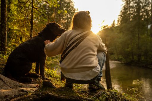 A rear view of a man and his dog sitting on a riverside