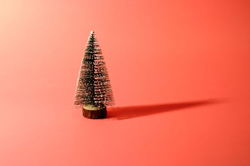 Minimal composition pattern background of green Christmas tree on pastel red. New year concept.
