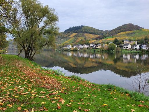 A scenic view of Moselle river surrounded by hills reflecting on water surface on a cloudy day