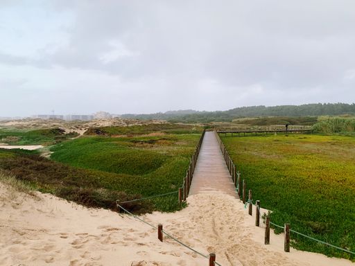 A scenic view of a trail in a green field near the ocean on Portugal coast