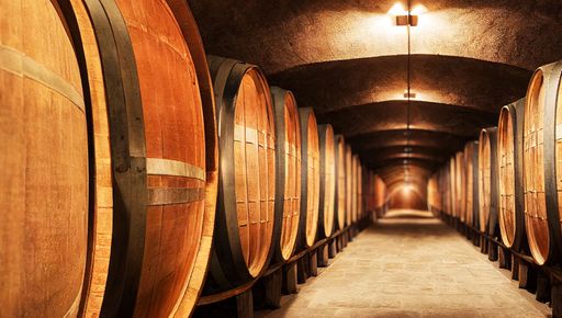 A long corridor with wooden wine barrels in a vineyard cellar