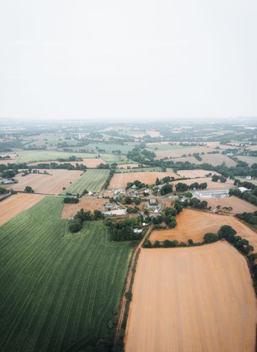 An aerial view of farming fields surrounded by trees