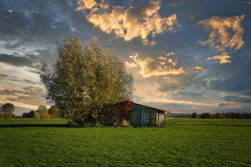 The cloudy blue sky over the field with a single wooden hut and a tree in the middle