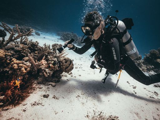 A scuba diver exploring the blue mysterious coral reef