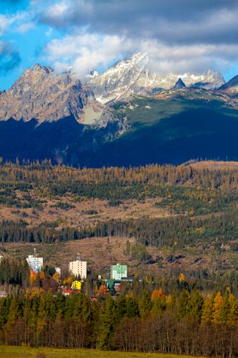 A vertical shot of autumn in three rows, pine trees, dry plains on the slopes and high mountains in the background