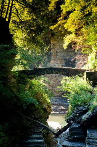 A vertical shot of a small bridge over the river in the Robert H. Treman State Park in New York.