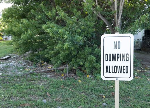 A no dumping allowed sign in the park.