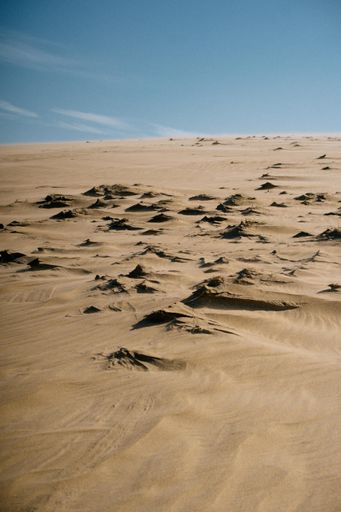 An empty scenery of a desert in Cabo Polonio, Uruguay