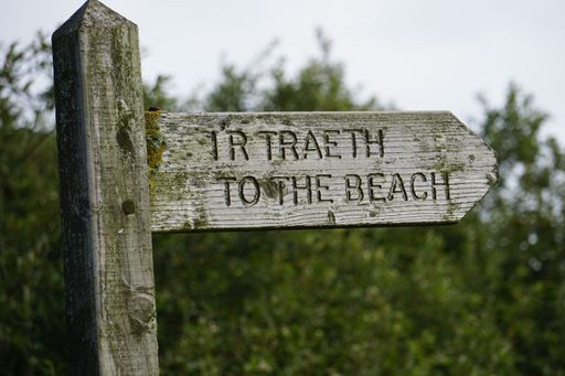 A closeup shot of a wooden sign written in English, showing the direction to the near beach